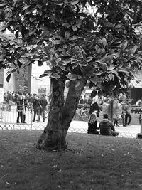 People sitting on tree in city