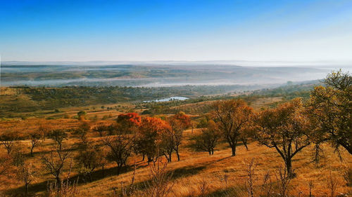 Scenic view of field against clear blue sky