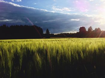Scenic view of field against cloudy sky
