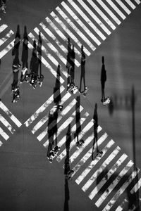 High angle view of people crossing road