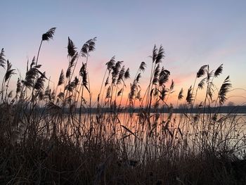 Scenic view of lake against sky during sunset