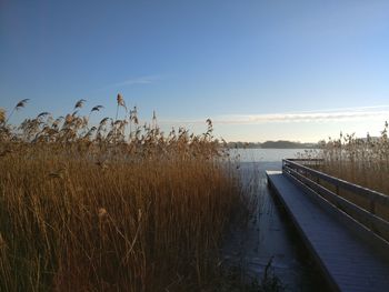 Scenic view of lake against clear blue sky