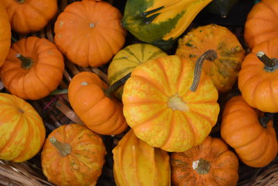 Full frame shot of pumpkins for sale