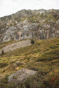 Scenic view of mountains