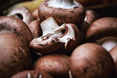 Close-up of mushrooms