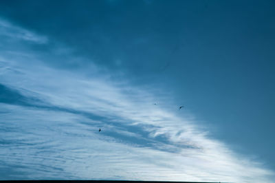 Low angle view of birds flying in sky