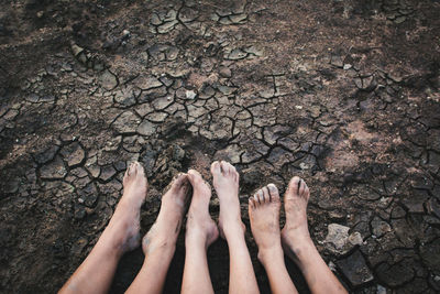 Low section of friends on ground