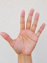 Close-up of human hand against white background
