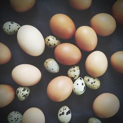 High angle view of eggs in container