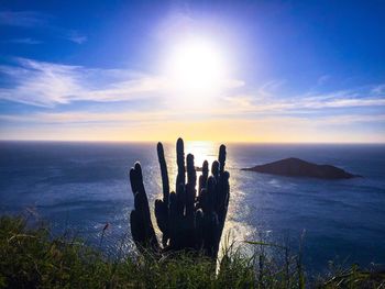 Cactus in sea against sky during sunset