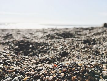 Close-up of pebbles on beach against sky