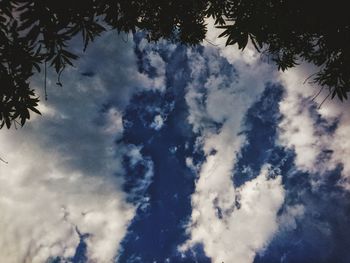 Low angle view of trees against sky