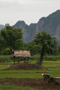 Scenic view of grassy field against sky