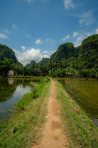 Scenic view of lake by trees against sky