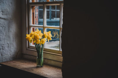 Daffodils in vase on window sill