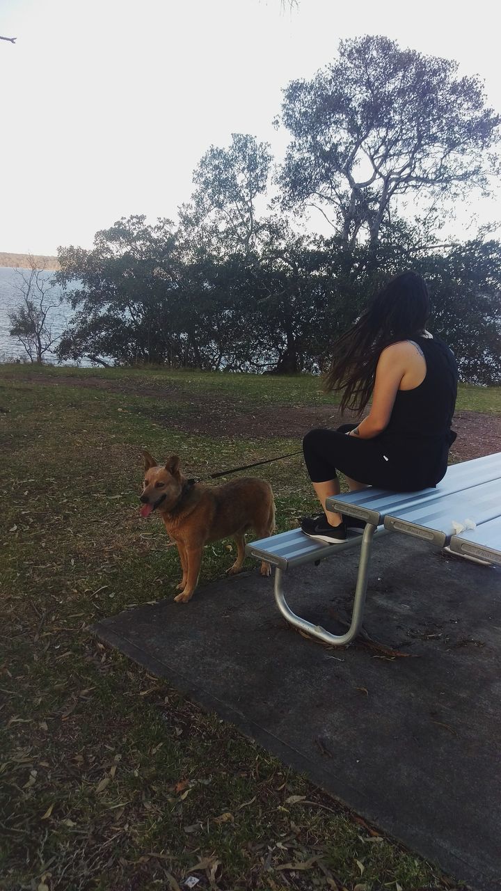 pets, dog, one animal, animal themes, domestic animals, sitting, mammal, full length, one person, real people, tree, side view, day, outdoors, grass, young women, nature, young adult, sky, people