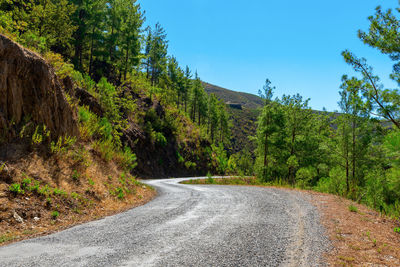 A bend in a mountain road among conifers in sapadere, turkey.