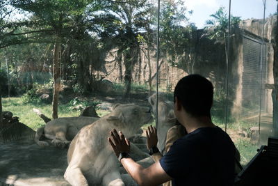 Rear view of man sitting by trees