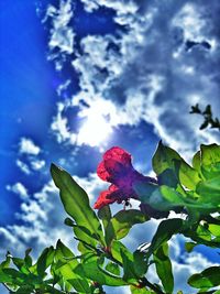Low angle view of plants against blue sky