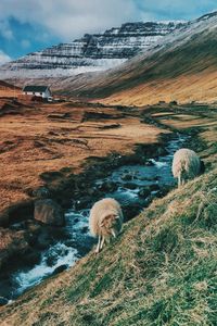 View of faroe islands landscape