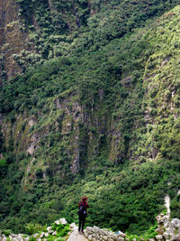 Full length of person walking on road amidst trees in forest