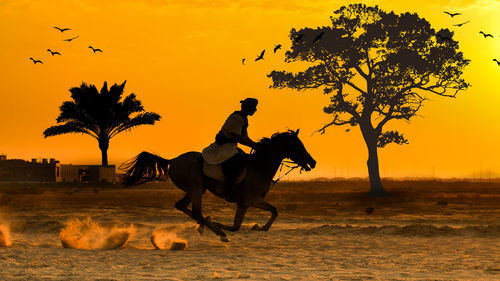 Silhouette people riding horse at sunset