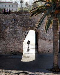 Rear view of man and woman walking on palm tree