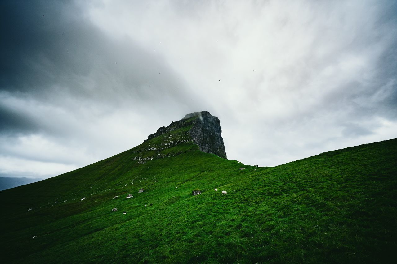 LOW ANGLE VIEW OF GREEN MOUNTAIN