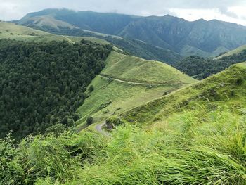 Scenic view of landscape