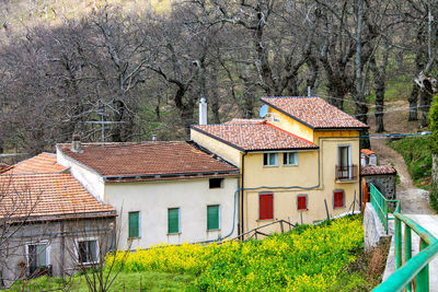 Houses in a field