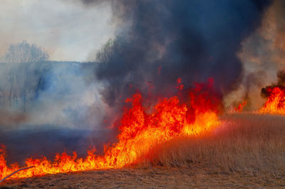 Panoramic view of fire on land