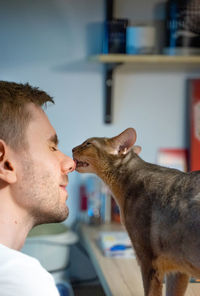 Abyssinian cat licks the nose of a young man, his eyes closed with pleasure. love for pets.happy cat