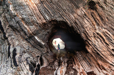 Rear view of teenage girl with backpack standing in tree trunk