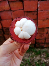 Close-up of hand holding mangoesteen