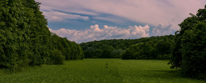 Grassy field against sky