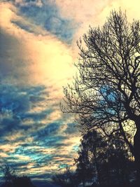 Low angle view of silhouette tree against sky at sunset