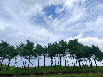 Trees on field against sky