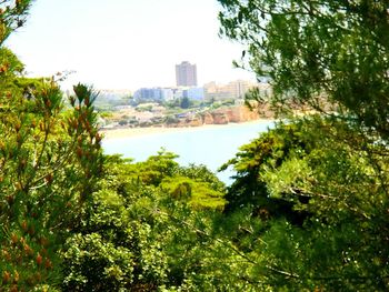 River with buildings in background