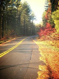 Road passing through trees