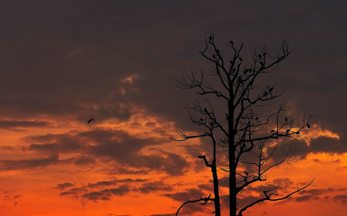 Low angle view of silhouette bare tree against orange sky