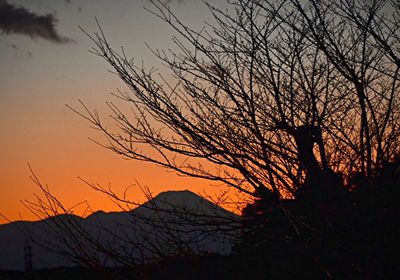 Silhouette of bare trees against sky at sunset