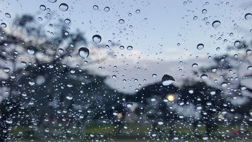 Close-up of water drops on glass