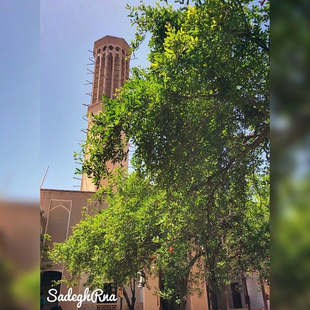 building exterior, tree, architecture, built structure, low angle view, text, communication, western script, growth, city, green color, building, day, branch, sky, clear sky, outdoors, tower, information sign, no people