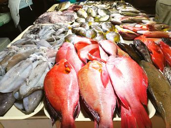 Close-up of fish for sale