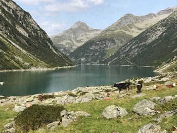 Scenic view of lake and mountains