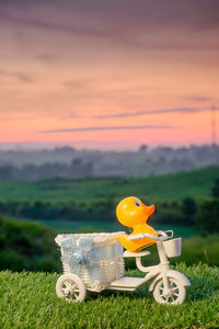 Close-up of toy on field against sky during sunset