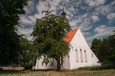 Trees and buildings against sky