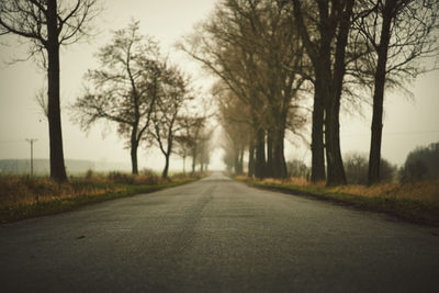 Empty road amidst trees