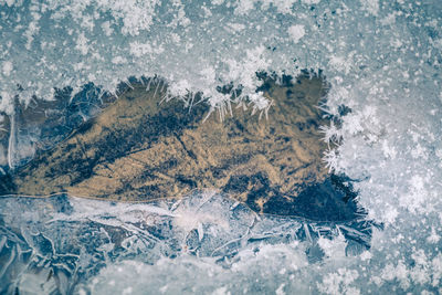 Beautiful close-up of a frozen ice formations on the water surface. natural winter texture.