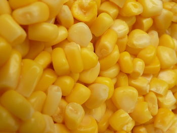 Closeup of sweet corn